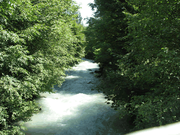 a0044453_1912297.gif