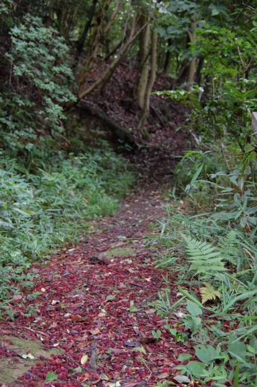 c0108460_1641793.jpg