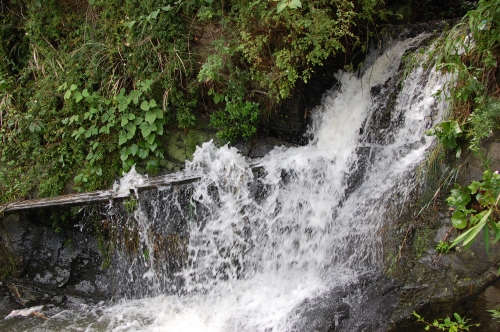 c0108460_1645847.jpg