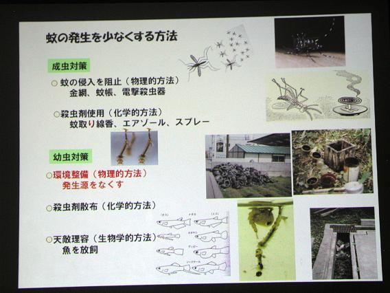c0180460_2232079.jpg