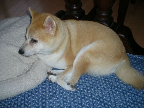 2009年雨の日はじゃがいもとバナナケーキ!_f0060461_20443455.jpg