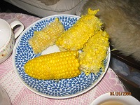 季節の食べ物_f0098562_1201384.jpg