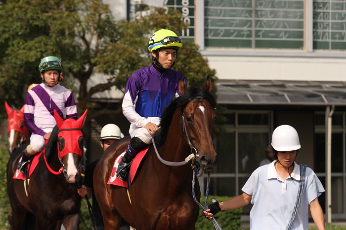 2009年6月27日（土） 高知競馬 7R 鰹のタタキ特別 C1 選抜馬 パドック_a0077663_19191766.jpg