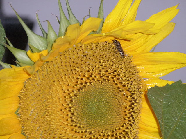b0157276_2211494.jpg