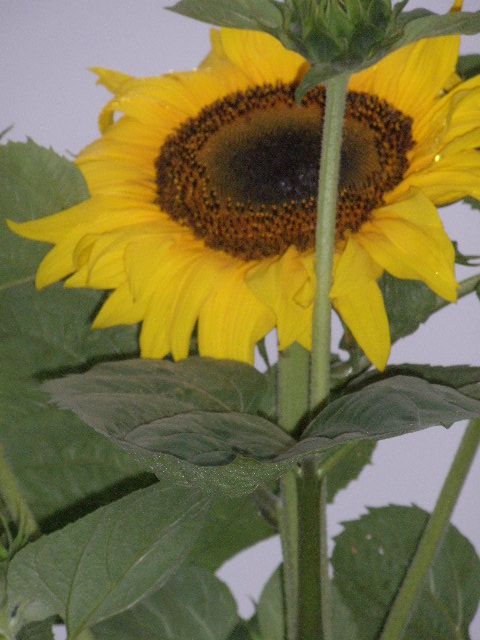 b0157276_22124612.jpg