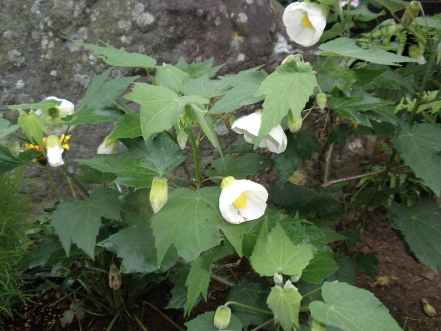 b0157276_22164246.jpg