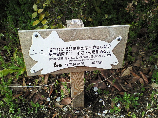 f0045776_952671.jpg