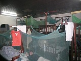 f0204578_057195.jpg