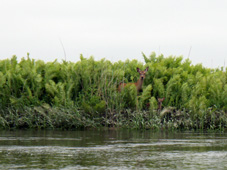 c0183880_23234160.jpg