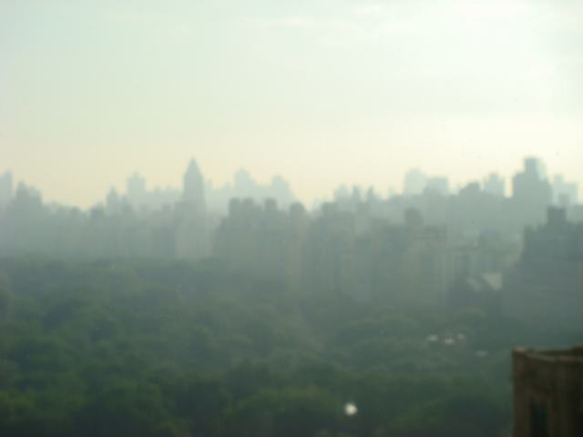 d0100880_2075438.jpg