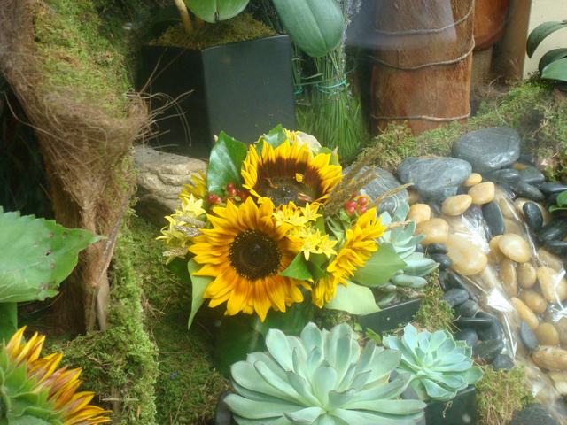 d0100880_2092327.jpg