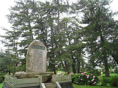 a0038882_1752108.jpg