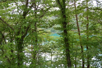 d0152083_19331636.jpg