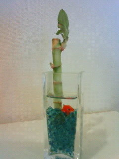 涼しさの演出_b0117785_16574634.jpg