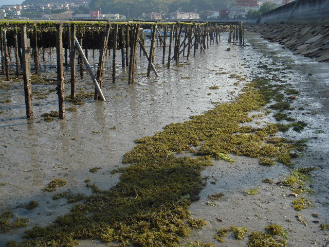 e0060485_8371123.jpg