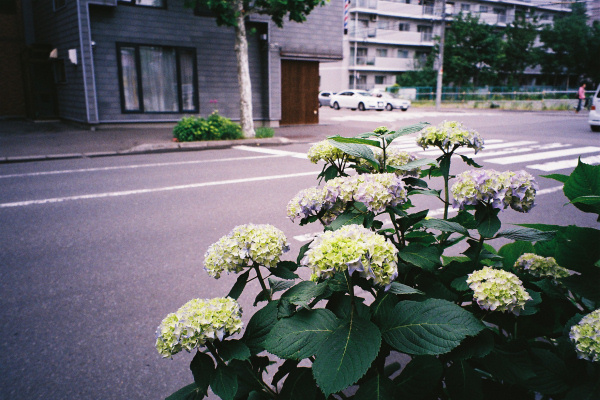 e0051186_6255692.jpg