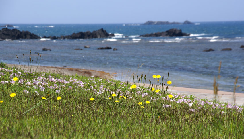 西海岸_a0136293_16465125.jpg