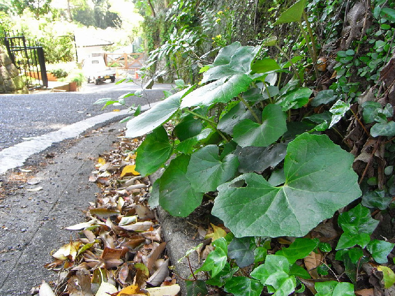 f0204094_8324736.jpg
