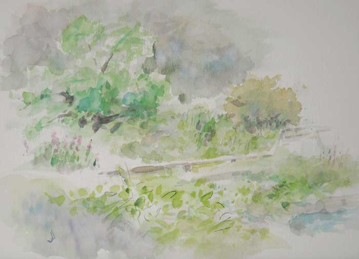 水生植物園_b0144301_0512296.jpg