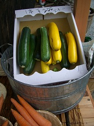 f0164903_055171.jpg