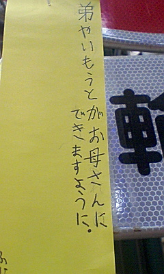 f0197703_11351699.jpg