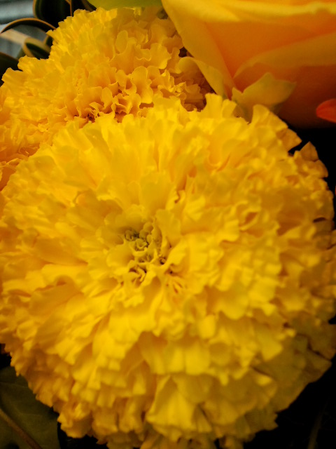 a0088007_2443729.jpg
