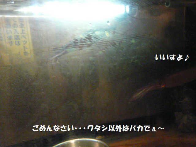 e0094407_19273389.jpg