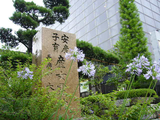 鎌倉 夏の花散歩①  ～鎌倉駅周辺～_b0112909_11121141.jpg