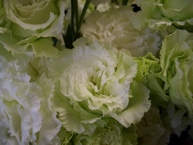 e0128909_1922238.jpg