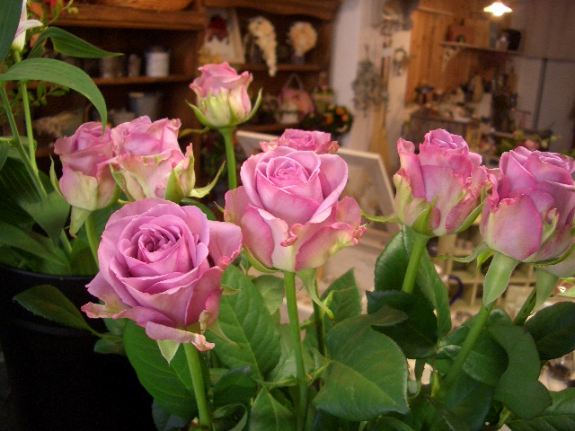 e0128909_1927136.jpg