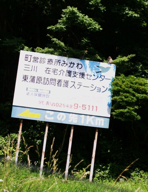 日本　　さる・猿・申・サル_d0039111_1112298.jpg