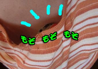 c0133013_15352190.jpg