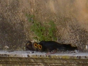 f0133814_1835672.jpg