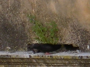 f0133814_1842091.jpg