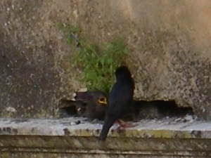 f0133814_18422377.jpg