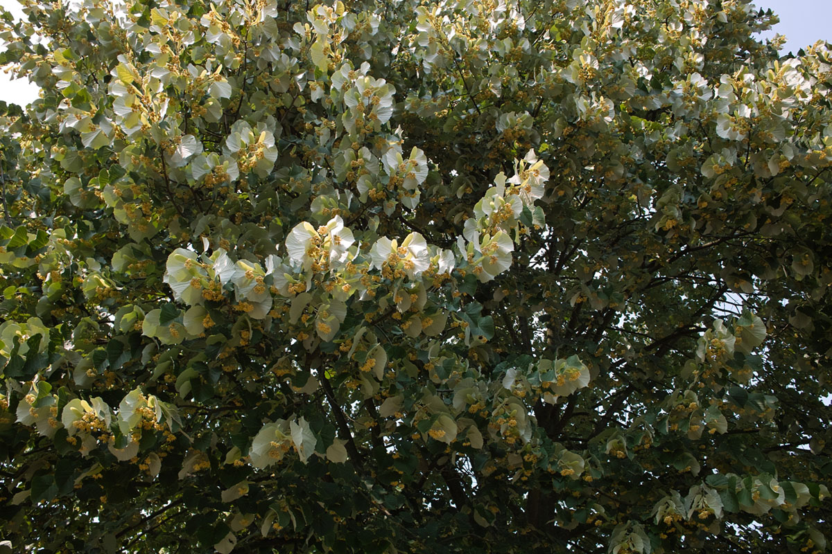 b0148617_19132375.jpg