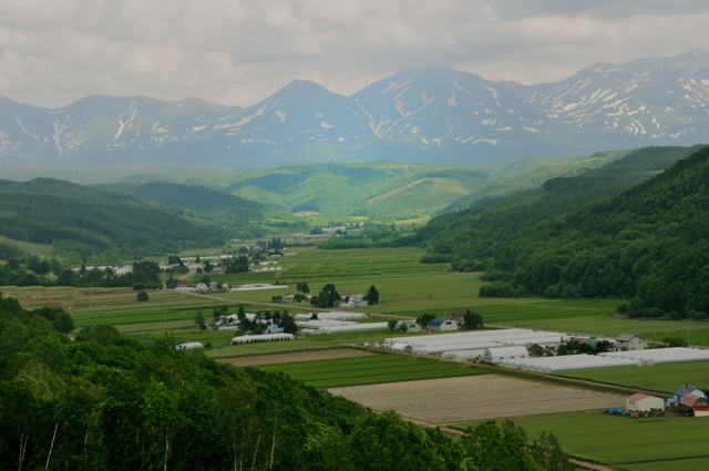 d0019422_81916.jpg