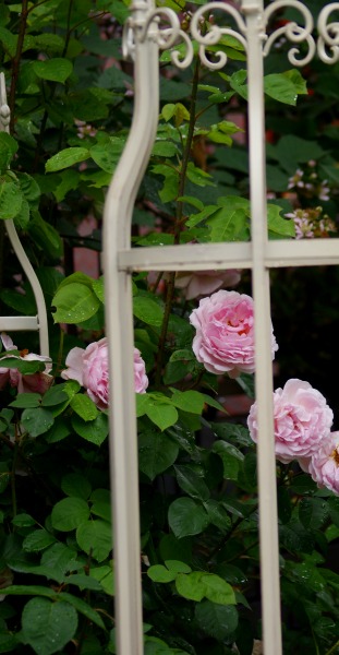 f0170524_1422012.jpg