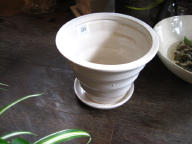 グフフ_c0102228_2004331.jpg