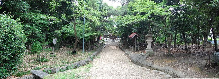 柏原市（河内田辺廃寺跡）探訪（2009.07.03）・・・_a0016431_23242743.jpg