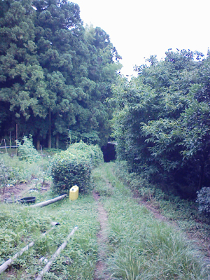 a0129233_15563886.jpg