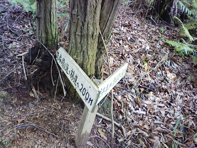 a0129233_1618239.jpg