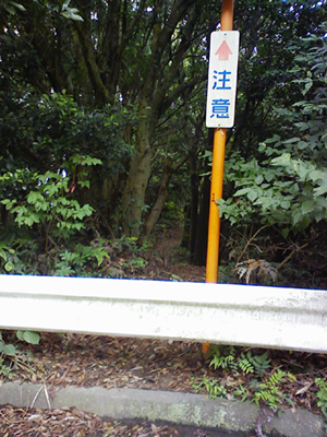 a0129233_1632593.jpg