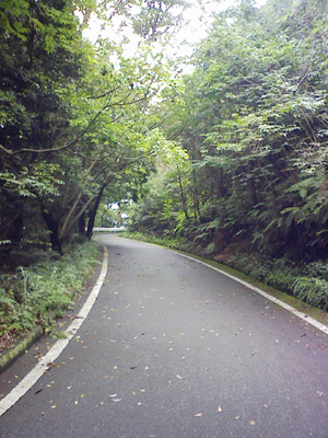 a0129233_16532892.jpg