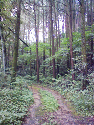 a0129233_1661182.jpg