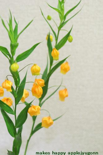 なまえをしらない夏らしい花 サンダーソニアでした キラキラしあわせ写真館