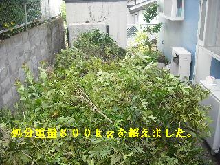 ごみ処分_f0031037_20101643.jpg