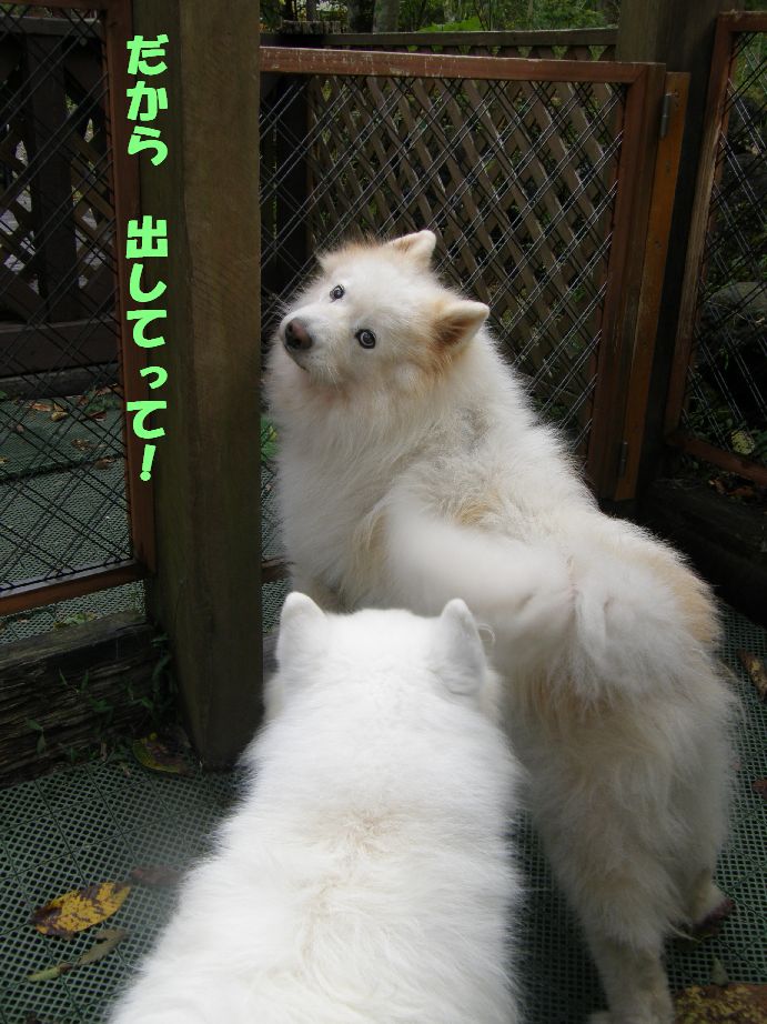 いつもの場所で遊びませんか?_f0128542_0275912.jpg