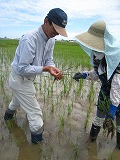 b0179047_732436.jpg