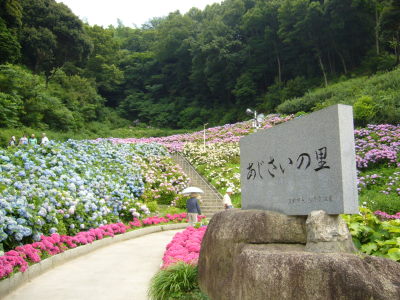 e0110047_8145663.jpg